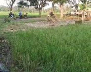 Tanah ekslusive Pinggir jalan,  Dekat Rumah sakit RSDH Cianjur