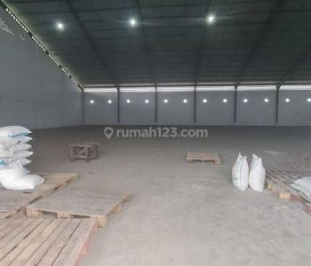 Gudang bagus siap pakai di kawasan pergudangan palur solo
