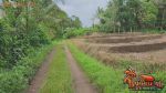 thumbnail-lokasi-strategis-3200-m2-tanah-siap-bangun-di-tabanan-4