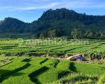 thumbnail-di-jual-tanah-kavling-nempel-wisata-bogor-mg-7