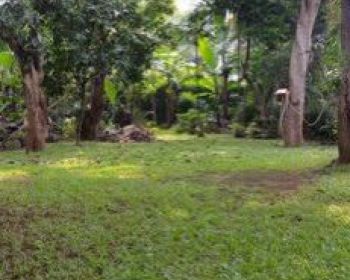 J1290 Rumah 1lantai 1100/300 m2 jln 2 mbl halaman keliling luas di kebon jeruk