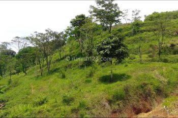 Investasi Kavling Bandung Selatan dkt Banjaran CIparay Jelekong