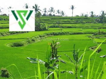 Tanah kavling murah 19,93jt/m graha Family Pakuwon Indah