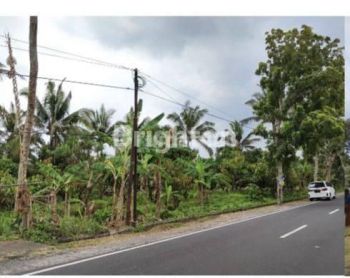 TANAH KEBUN PINGGIR JALAN PUPUAN TABANAN