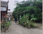 thumbnail-tanah-jogja-sleman-dekat-pasar-rejodani-dekat-jalan-magelang-0