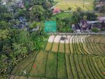 thumbnail-tanah-di-daerah-pantai-nyanyi-beraban-view-sawah-dan-link-villa-10