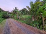 thumbnail-tanah-di-daerah-pantai-nyanyi-beraban-view-sawah-dan-link-villa-4