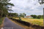 thumbnail-timur-pabrik-sampoerna-berbah-harga-2-juta-an-dkt-wisata-lava-bantal-6