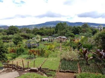 Tanah Dijual Mainroad Cihideung Lembang Bandung Barat