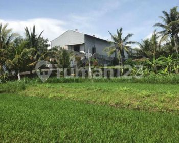 Tanah Dekat Pantai Dan Sungai Ketewel Gianyar