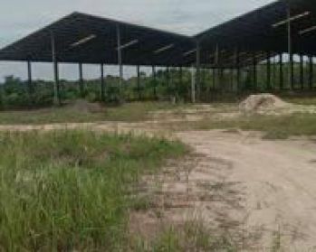 Tanah Dan Bangunan Untuk Pabrik Tapioka