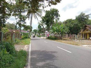 Tanah Murah di Mertoyudan, Magelang. Dekat Jalan Raya.