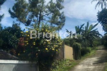 Tanah di Jalan Puncak Megamendung