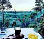 thumbnail-dijual-ruang-usaha-cafe-kebun-lembang-bandung-1