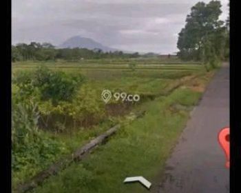 Tanah Pekarangan Dijual Prambanan
