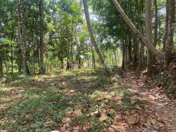 Tanah di dekat wisata kopeng,, cocok buat investasi jangka panjang