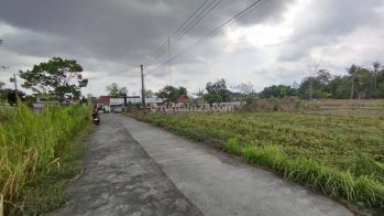 Tanah Murah Jogja Dekat Pasar Rejodani Jalan Palagan