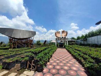 Ruang Usaha View Gunung, Sawah, Kebun Strawberry & Kolam Renang
