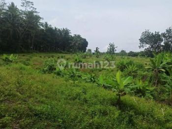 Dijual Tanah di Desa Karang Bolong, Pandeglang, Banten
