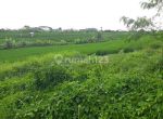 thumbnail-tanah-rice-field-view-pererenan-canggu-kuta-utara-bali-0