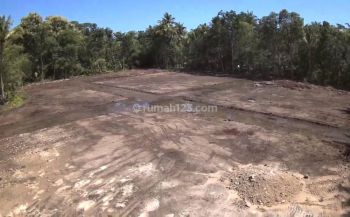 100 Jt An Tanah Sedayu Bantul Jogja Cocok Huni Pun Invest