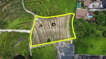 Jual Tanah 2980 M2 di Pusat Pariwisata Canggu
