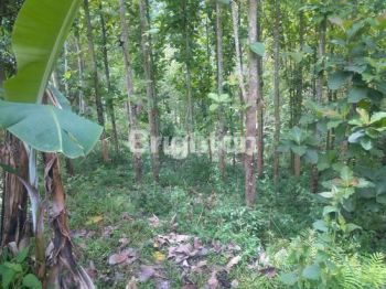 Tanah Villa Affordable di Selatan Bandung