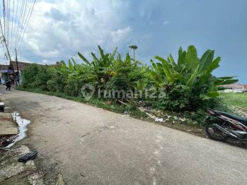 Tanah Pekarangan Strategis Bonus Pohon Pisang