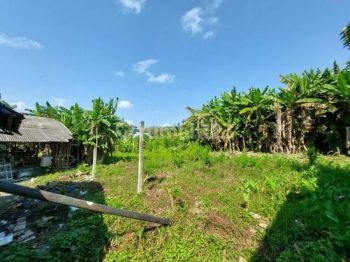 Land For Lease Hold In Raya Canggu, Udb 045