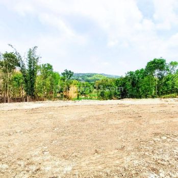 Tanah Jogja Dekat Pasar Pleret 950 Rb M2 SHM Ready