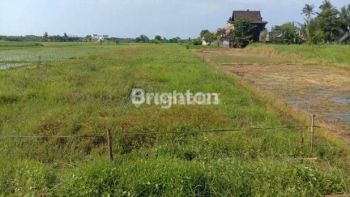 TANAH PREMIUM UNTUK VILLA DI KEDUNGU