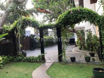 Disewakan Rumah Mewah, Ada Kolam Renangnya Di Menteng