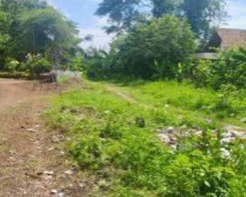 Tanah Harga Murah Dekat Pemda Tigaraksa Tangerang