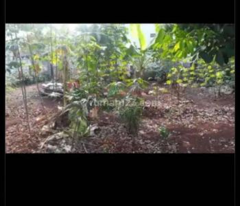 DIJUAL TANAH COCOK BUAT RUMAH PRIBADI LOKASI STRATEGIS PERBATASAN ANTARA BEKASI