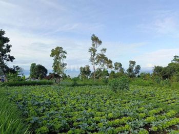 Dijual Tanah diPakuhaji cocok untuk villa