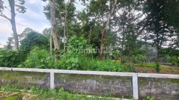 Tanah Dijual 1 Jtan 3 Menit Rs Mitra Paramedika Jl Tajem
