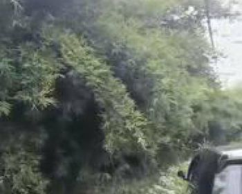 Tanah Strategis Untuk Perumahan di Jasinga, Bogor SHM 10 Ha