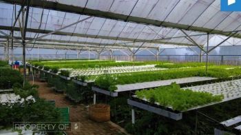 Dijual Gudang dan Greenhouse Sayuran Hidroponik di Lembang SHM