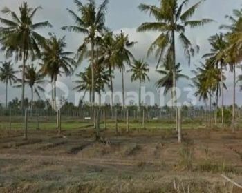 JUAL TANAH KOTA PANGANDARAN