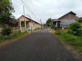 Investasi Masa Tua Tanah Pekarangan View Bukit Obelix Dan Sawah Hanya 2 Jutaan