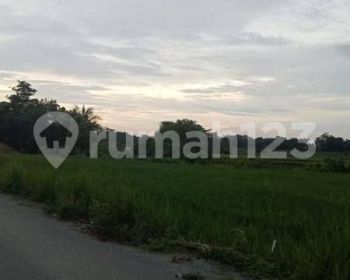 Di Jual Cepat Tanah 2 Hektar Di Kabupaten Bogor Cariu Perbatasan Karawang SHM