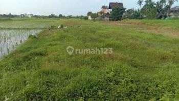 Tanah di Jln kedungu 1,67 are SHM zona kuning