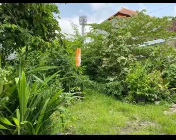 Dijual tanah murah,1,3 are di dalung Kuta Utara Badung bali