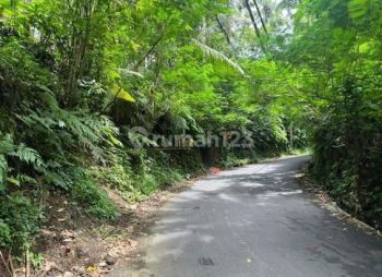 Dijual tanah murah area villa tegalalang ubud gianyar bali