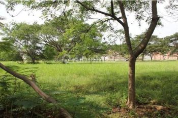 Jual Kavling Golf Island Pik Luas 200m2 8x25 Sonata Lagoon