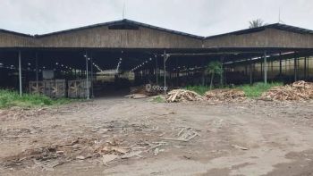 Dijual 1,3 Ha Pabrik Lempeni - kec.Tempeh - Kab.Lumajang - Jawa Timur Plus MESIN