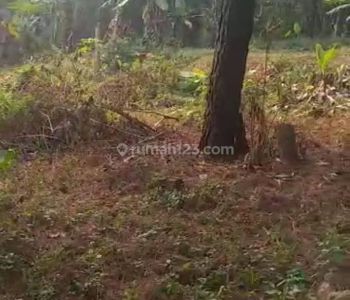 Tanah Strategis 9 Ribu Meter di Ciharashas (Sumur Bor) Seberang Samsat Kab Barat