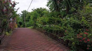 Dijual Tanah 56 Are Ocean View Sawangan Benoa