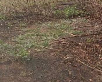 Tanah Luas 7000m² di Balaraja Tangerang