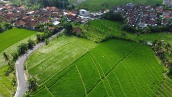 DIJUAL TANAH STRATEGIS TUMBAK BAYUH CANGGU